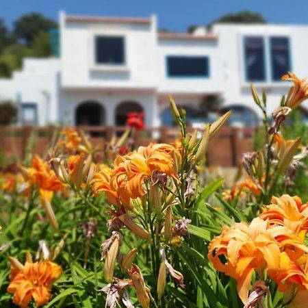 La Casa Te Puru Lodge Dış mekan fotoğraf