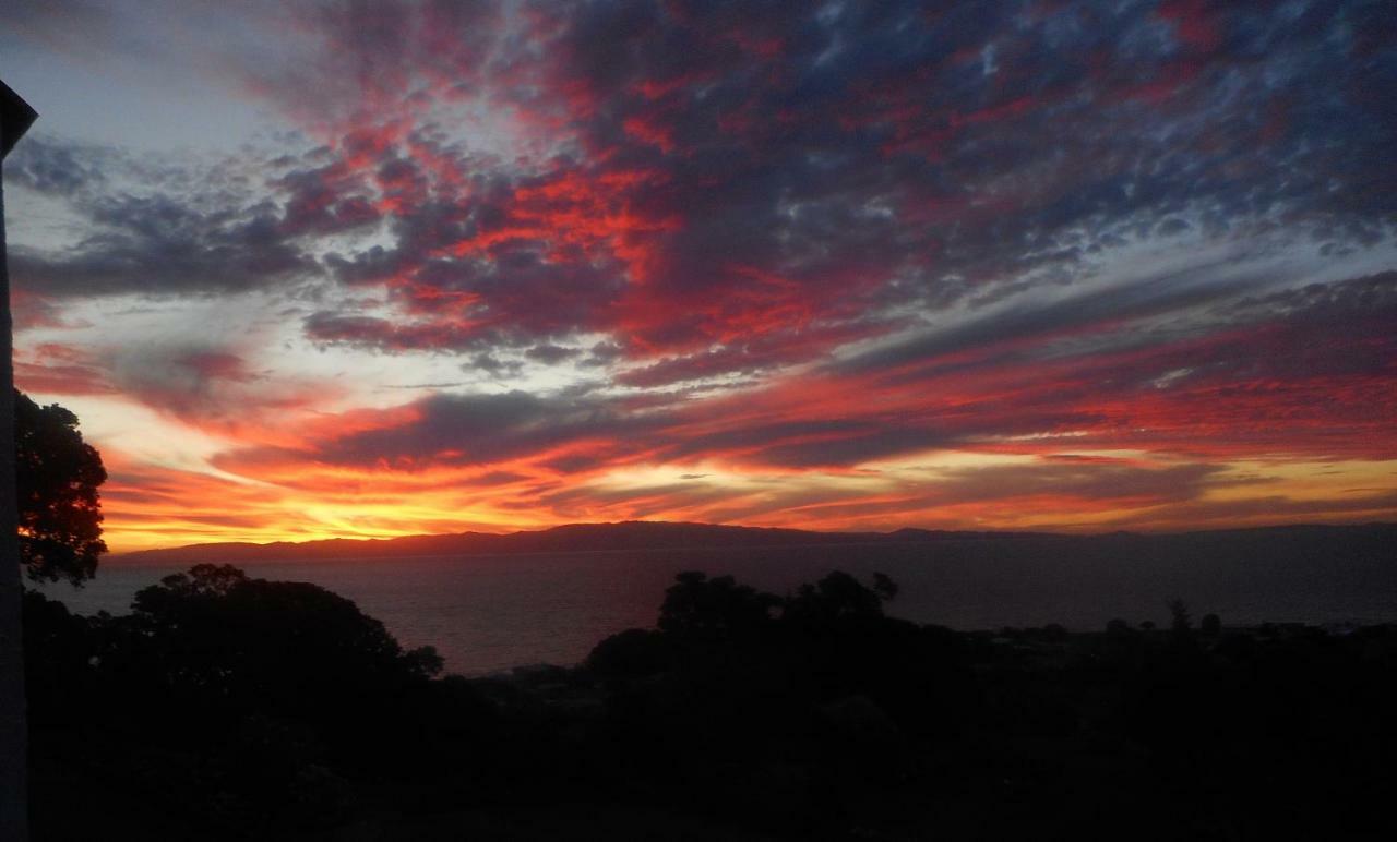 La Casa Te Puru Lodge Dış mekan fotoğraf