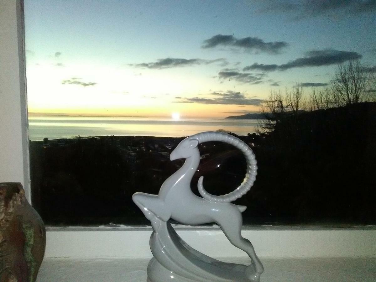 La Casa Te Puru Lodge Dış mekan fotoğraf